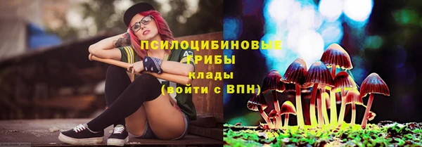 spice Балахна