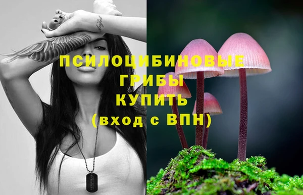 spice Балахна
