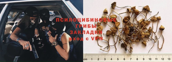 spice Балахна
