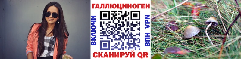 Псилоцибиновые грибы Magic Shrooms  Черноголовка 